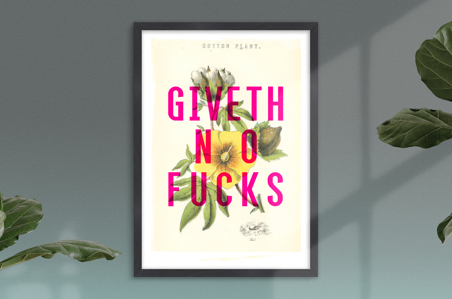 Giveth No Fucks