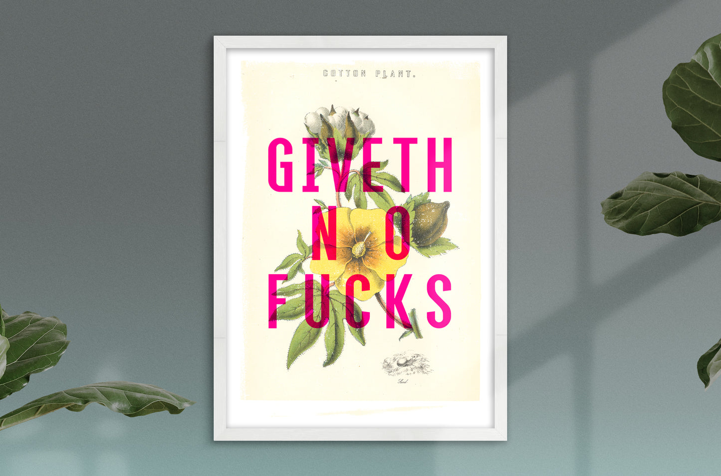 Giveth No Fucks