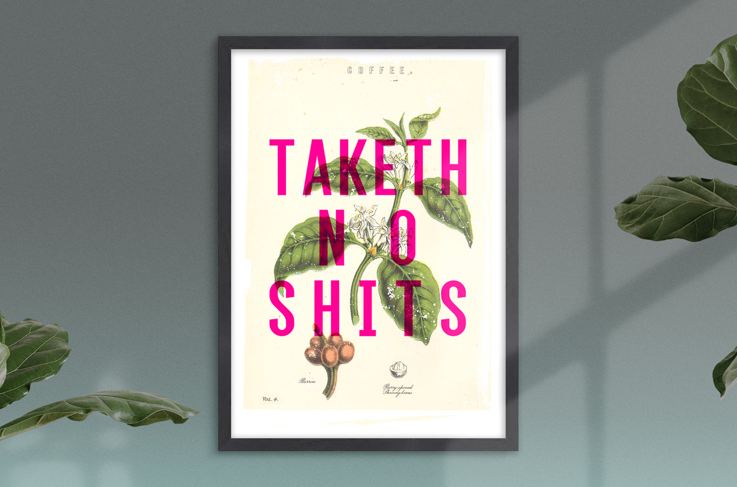 Taketh No Shits