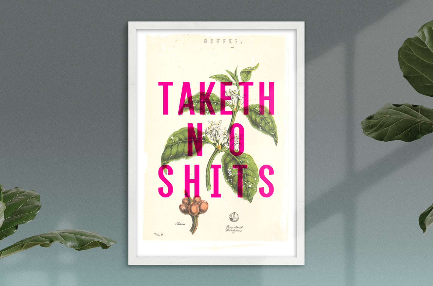 Taketh No Shits