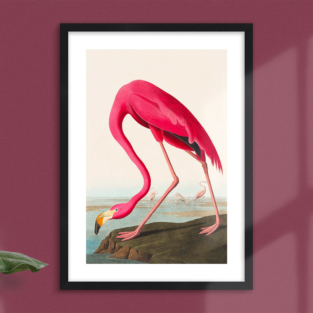 Pink Flamingo