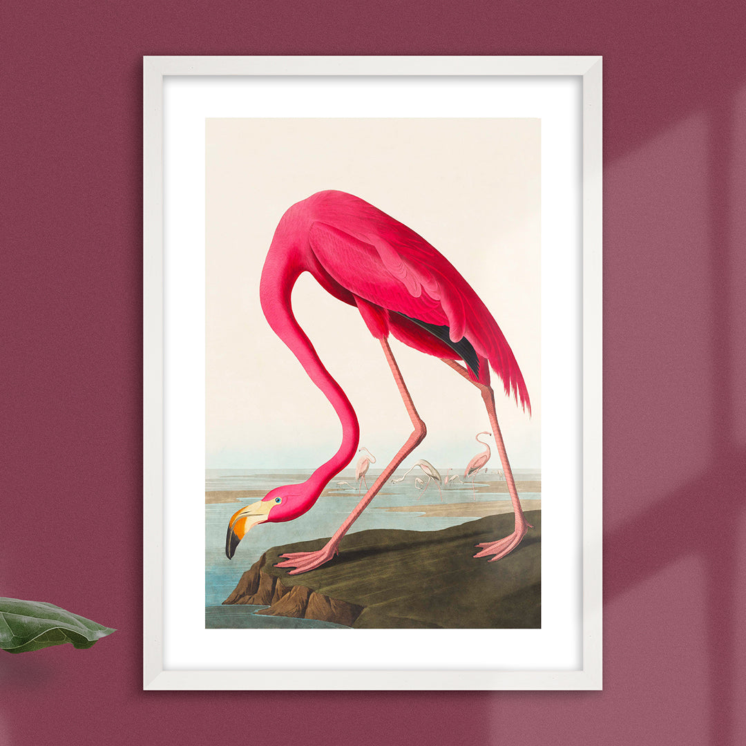 Pink Flamingo